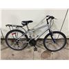 Image 2 : SILVER NO NAME 21 SPEED MOUNTAIN BIKE WITH LUGGAGE RACK