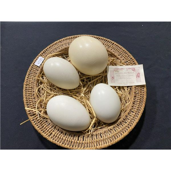 4 COLLECTABLE HOLLOWED OSTRICH EGGS IN WICKER BASKET