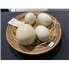 Image 2 : 4 COLLECTABLE HOLLOWED OSTRICH EGGS IN WICKER BASKET