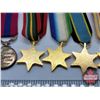 Image 8 : WWII Miniature Group (Case: 3-1/4" x 6-7/8" x 1"D)   (See Pics!)