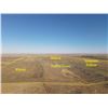 Image 6 : 330+/- Acres of Lane Co Land