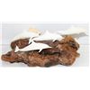 Image 1 : JOHN PERRY 4 DOLPHINS DRIFTWOOD