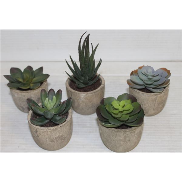 SET OF 5 MINI FAUX SUCCELENT PLANTS
