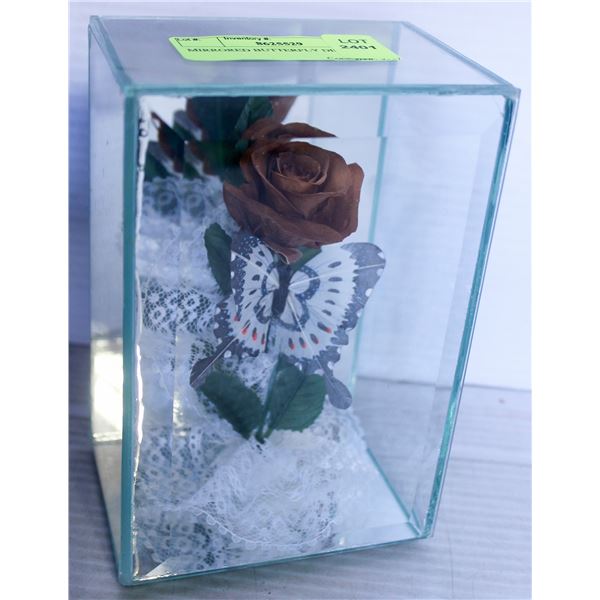 MIRRORED BUTTERFLY DISPLAY