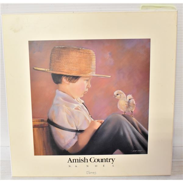 VINTAGE AMISH COUNTRY JAMES  BY N.A. NOEL SIGNED