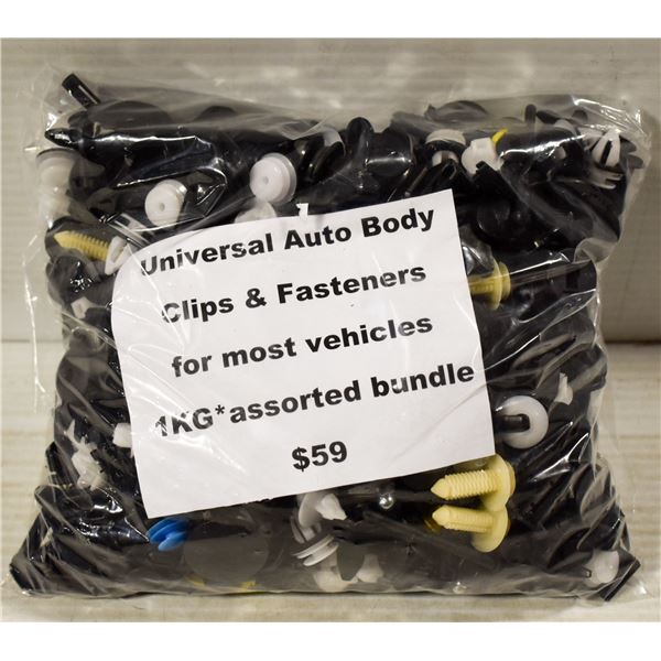 DETAILING CLIPS & FASTENERS - 1000 CLIPS