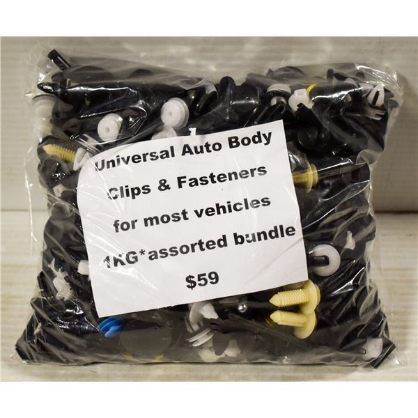 DETAILING CLIPS & FASTENERS - 1000 CLIPS