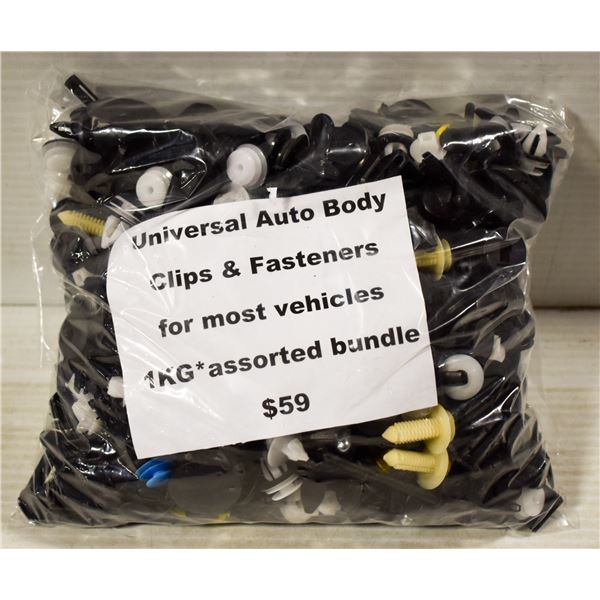 DETAILING CLIPS & FASTENERS - 1000 CLIPS