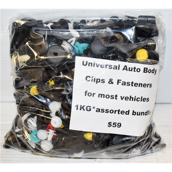 DETAILING CLIPS & FASTENERS - 1000 CLIPS