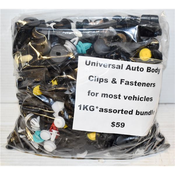DETAILING CLIPS & FASTENERS - 1000 CLIPS