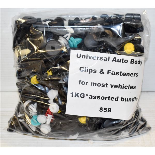 DETAILING CLIPS & FASTENERS - 1000 CLIPS