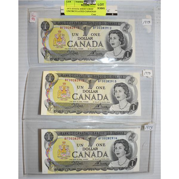 1973 STOCK SHEET CRISP UNCIRCULATED CANADIAN $1 BI