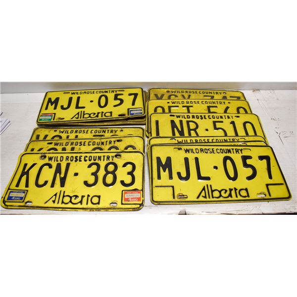 VINTAGE WILD ROSE LICENSE PLATES- (16) 8 SETS