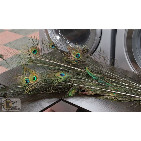 31 PEACOCK FEATHERS FOR CRAFTS, FLY TYING OR DECOR