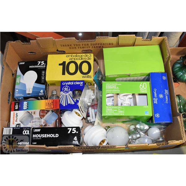 ASSORTED LIGHT BULBS & ACCESSORIES