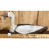 Image 1 : LABRADOR DUCK (EXTINCT) DECOY - UNSIGNED