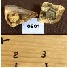 Image 1 : LOT OF 2 - HAND CARVED MASTADON TUSK IVORY