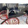 Image 2 : ANTIQUE BUGGY - LEATHER SEAT & STORAGE BOX - WOOD SPOKES - 5 X 7 FEET