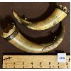 Image 2 : LOT OF 2 - ANTIQUE SCRIMSHAWED POWDER HORNS