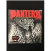 Image 1 : PANTERA "THE GREAT SOUTHERN OUTTAKES" VINYL LP (SEALED)