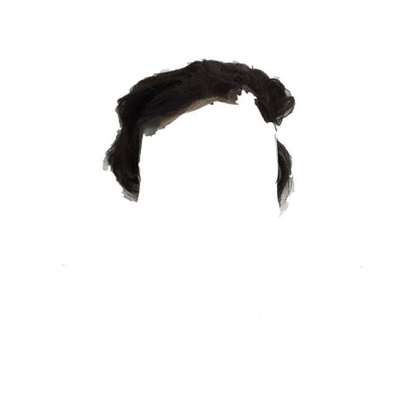 Crouching Tiger Hidden Dragon 2: West Lotus Boxer (Eugene Yao) Wig Movie Props