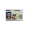 Image 1 : The Dog Jackson Briggs (Channing Tatum) Driver's License Movie Props