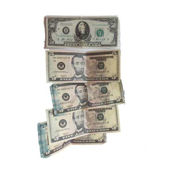 The Dog Jackson Briggs (Channing Tatum) Fake Money Movie Props