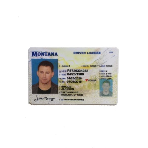 The Dog Jackson Briggs (Channing Tatum) Driver's License Movie Props