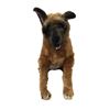 Image 1 : The Dog Stuffed German Shepard dog Movie Props