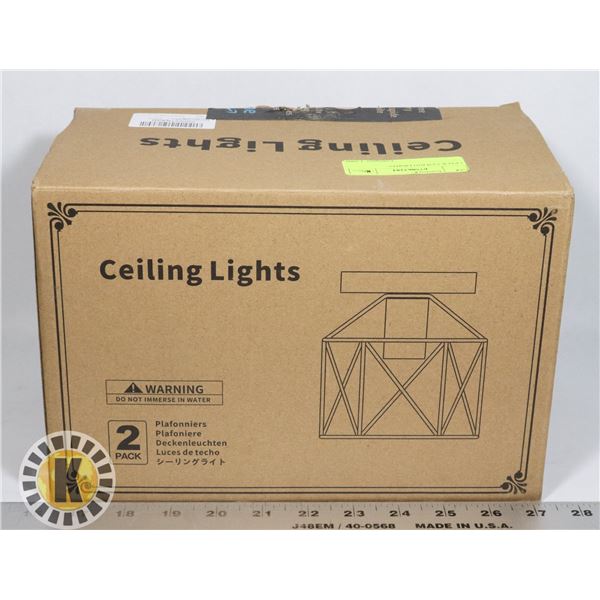 2 PACK CEILING LIGHTS