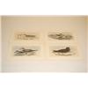Image 1 : (4) J. GOULD & H.C. RICHTER BIRD PRINTS - COLOR LITHOS OF SE