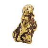 Image 1 : 30.76 Gram Yukon Gold Nugget