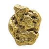 Image 1 : 3.50 Gram Yukon Gold Nugget