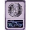 Image 2 : 2020 $1 American Silver Eagle Coin NGC MS70 First Day of Issue