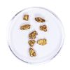 Image 1 : Lot of Gold Nuggets 3.57 grams Total Weight