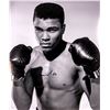 Image 1 : Muhammad Ali Autograph  Autograph Signed Poster