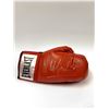 Image 1 : Autographed Wladimir Klitschko Boxing Glove