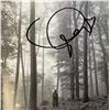 Image 1 : Signed Taylor Swift Offical Album Cover