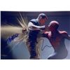Image 1 : Autograph Signed Spiderman Photo