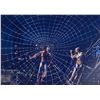 Image 1 : Autograph Signed Spiderman Photo