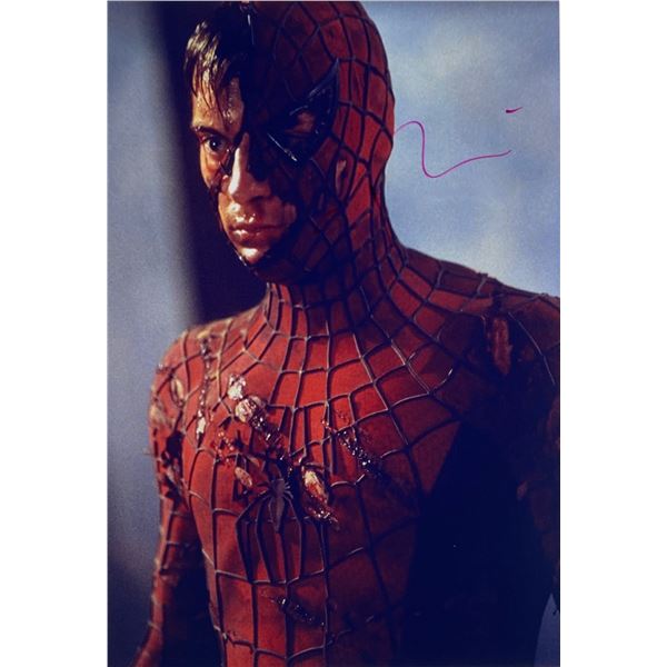 Autograph Signed Spiderman Photo