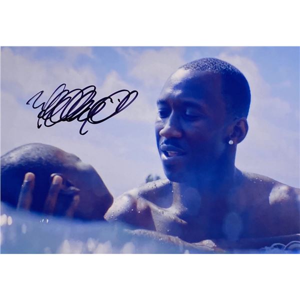 Autograph Signed Moonlight Photo