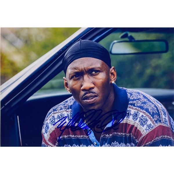 Autograph Signed Moonlight Photo