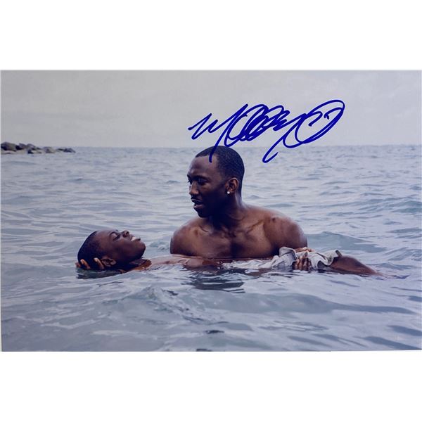Autograph Signed Moonlight Photo