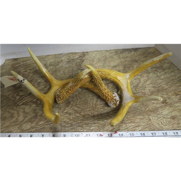 Pair of Antlers (urethane coated)