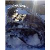 Image 2 : Snowmobile track 121"