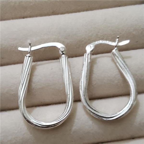 Silver Hoop Earrings, Suggested Retail Value $80