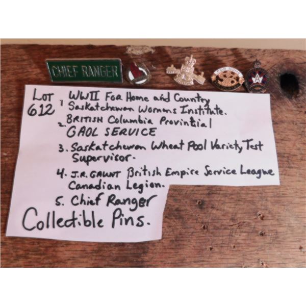 LOT 612 VINTAGE COLLECTIBLE LAPEL PINS