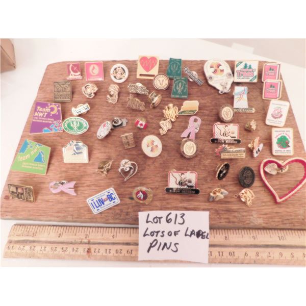 LOT 613 LOT OF LAPEL PINS