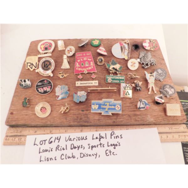 LOT 614 VARIOUS LAPEL PINS
